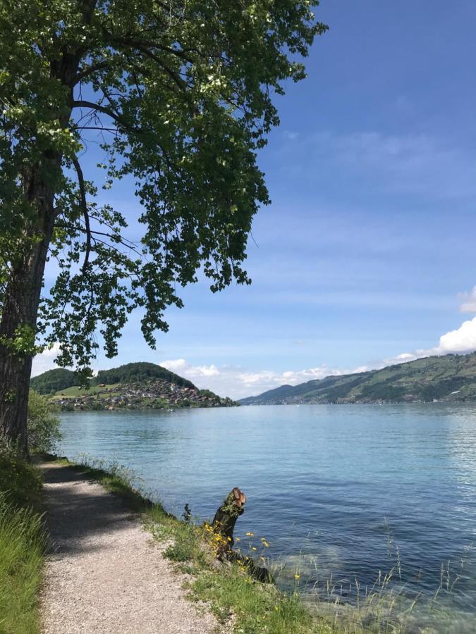 Moderne Unterkunft Mit Panoramablick Auf Thunersee Krattigen Exterior photo
